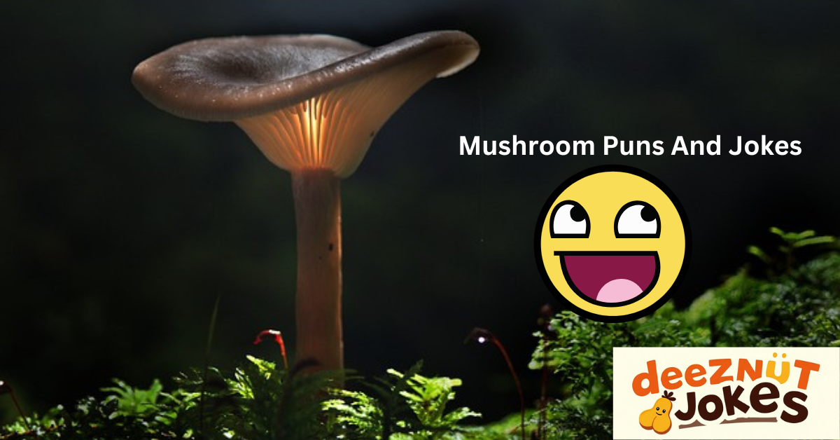 Mushroom Puns Names