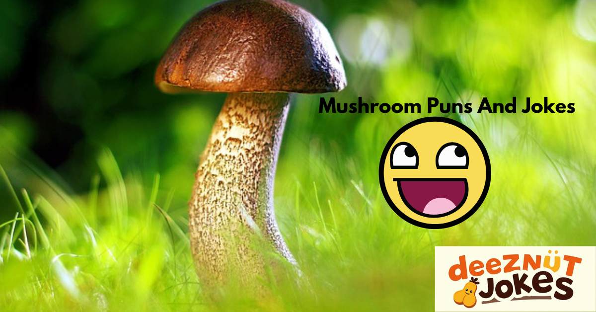 Cute Mushroom Puns