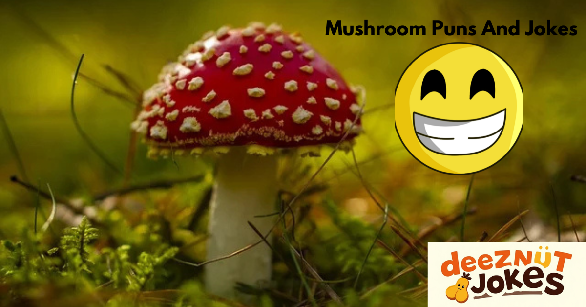 Fun Facts About Mushroom Puns