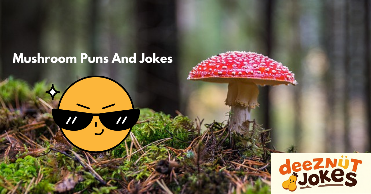 125+ Funny Mushroom Puns And Jokes: Laughing in the Shroom